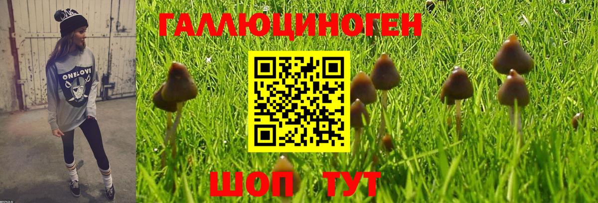 Галлюциногенные грибы Cubensis  Вход с VPN  Усинск 