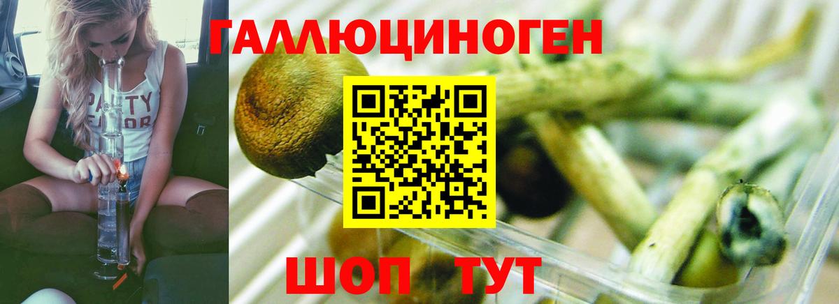Галлюциногенные грибы ЛСД Усинск